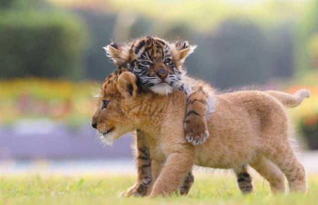 Daily Picdump