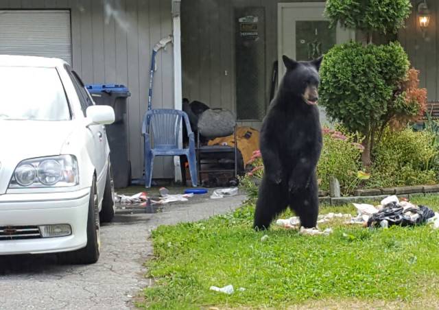 Daily Picdump