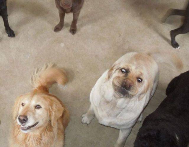 Daily Picdump
