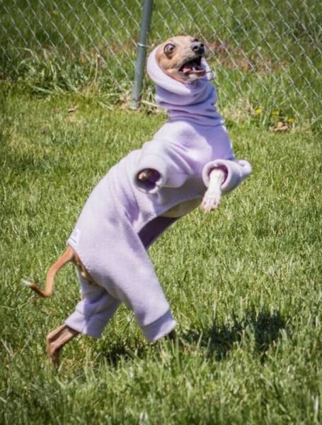 Daily Picdump