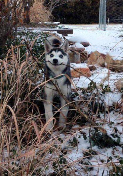 Daily Picdump