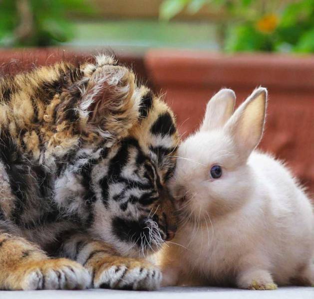 Daily Picdump