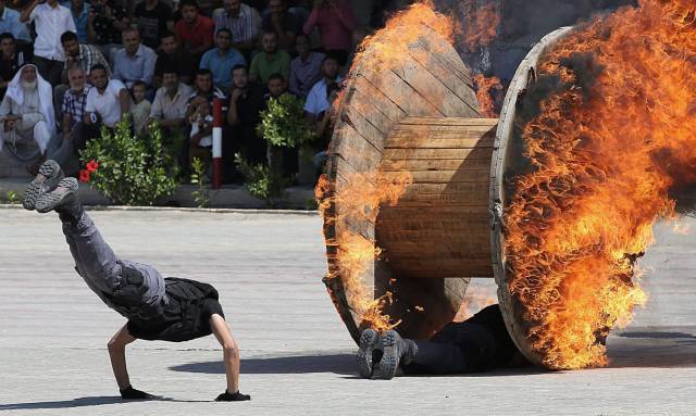 Daily Picdump