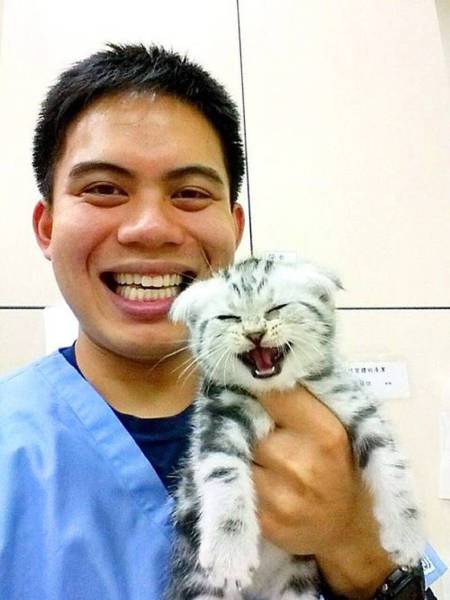 Daily Picdump