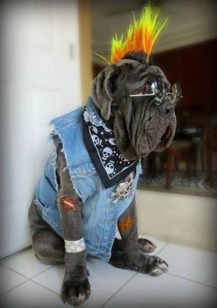 Daily Picdump