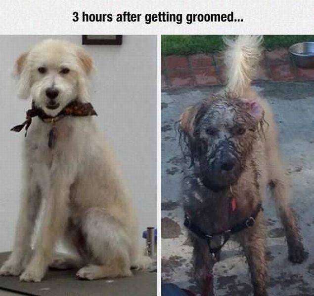 Daily Picdump