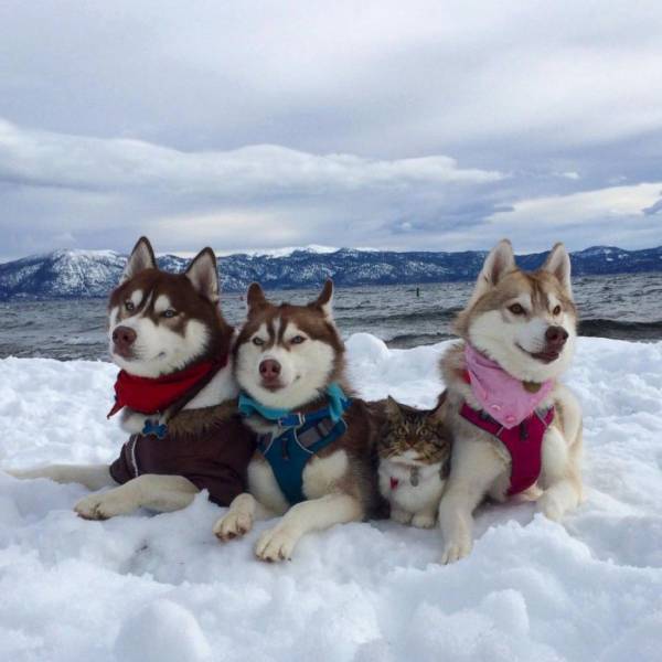 Daily Picdump