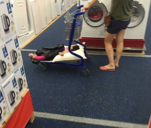 Daily Picdump