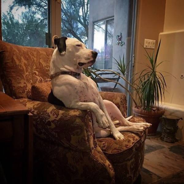 Morning Picdump