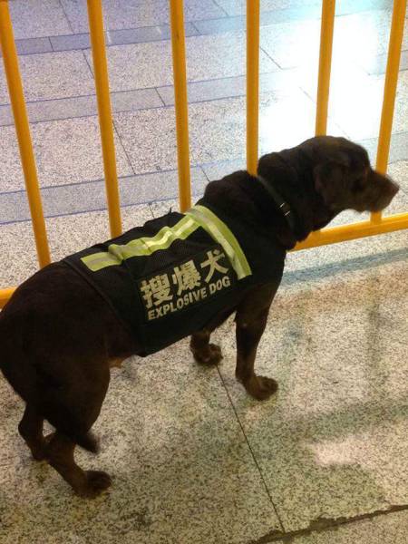 Morning Picdump