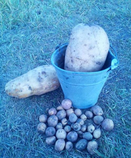 Morning Picdump