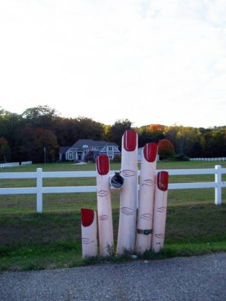 Morning Picdump
