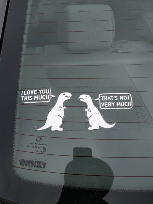 Morning Picdump