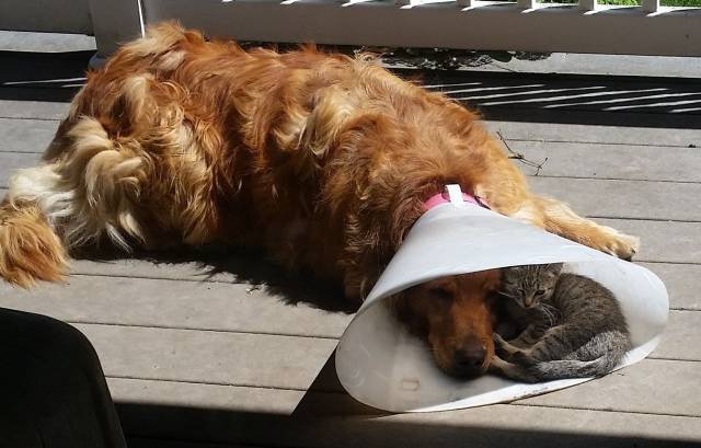 Daily Picdump