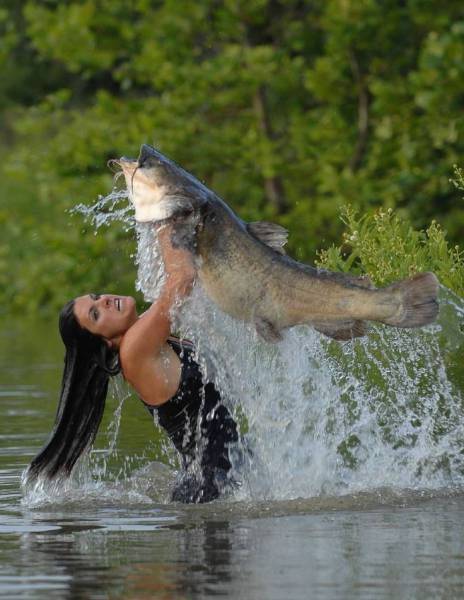 Daily Picdump