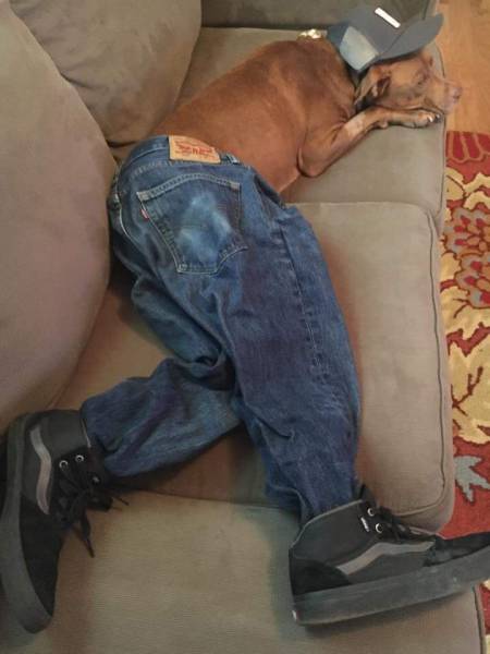 Morning Picdump