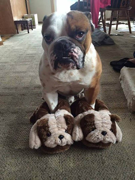 Morning Picdump