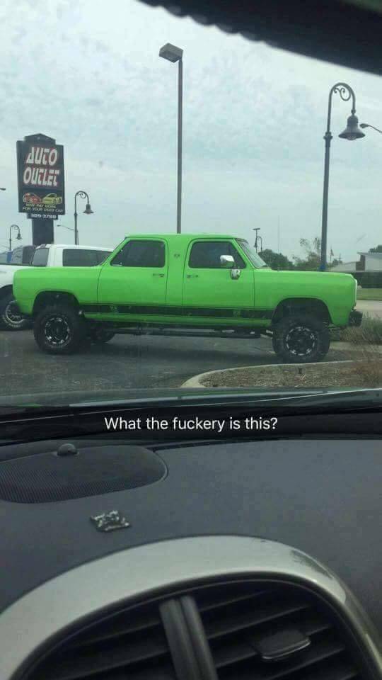 Morning Picdump