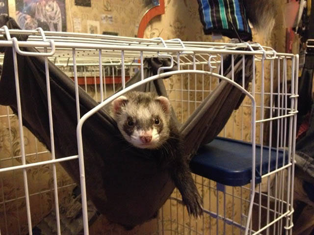 Daily Picdump