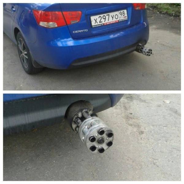 Daily Picdump