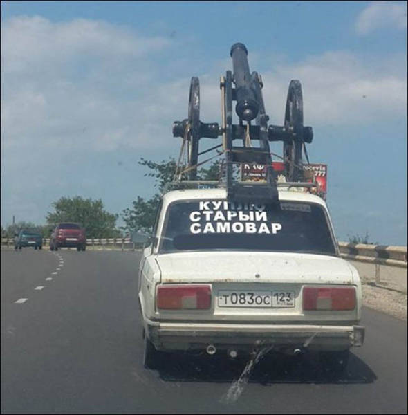 Daily Picdump