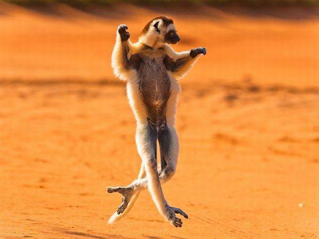 Daily Picdump [WEEKEND EDITION]