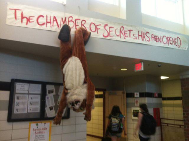 Daily Picdump [WEEKEND EDITION]