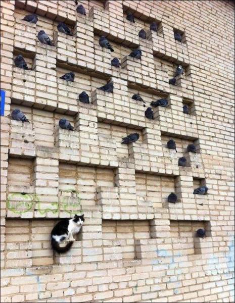 Daily Picdump