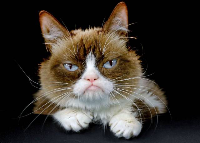 Daily Picdump