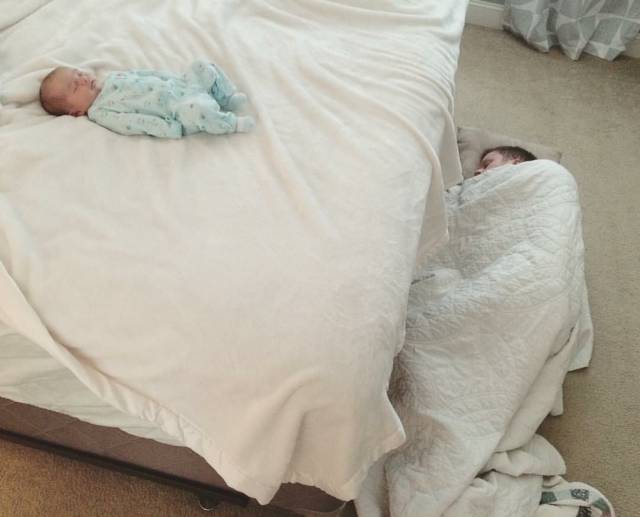 Daily Picdump