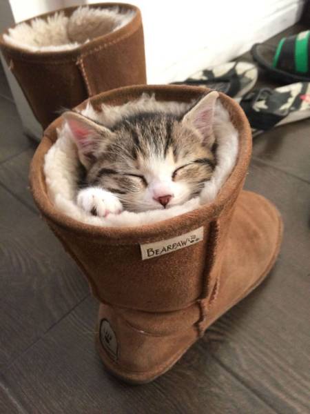 Daily Picdump