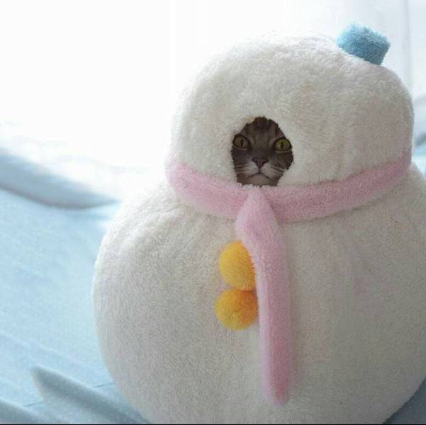 Daily Picdump