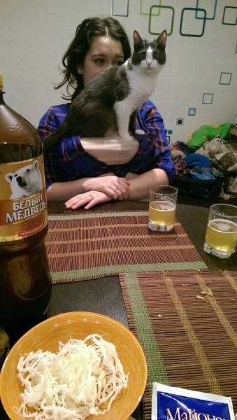 Morning Picdump