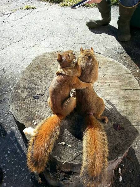 Morning Picdump