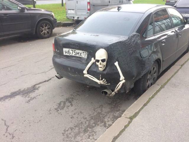 Morning Picdump