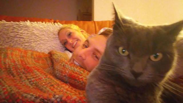 Morning Picdump