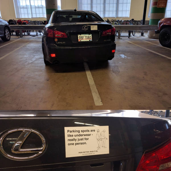 Daily Picdump [WEEKEND EDITION]