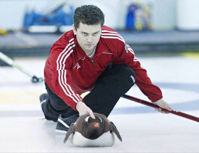 Daily Picdump [WEEKEND EDITION]