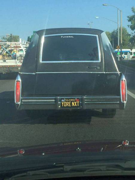 Morning Picdump