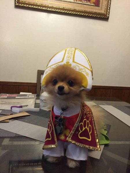 Morning Picdump