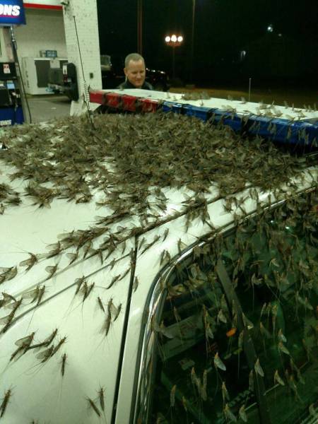 Morning Picdump
