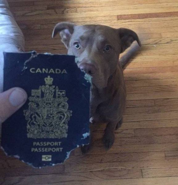 Morning Picdump