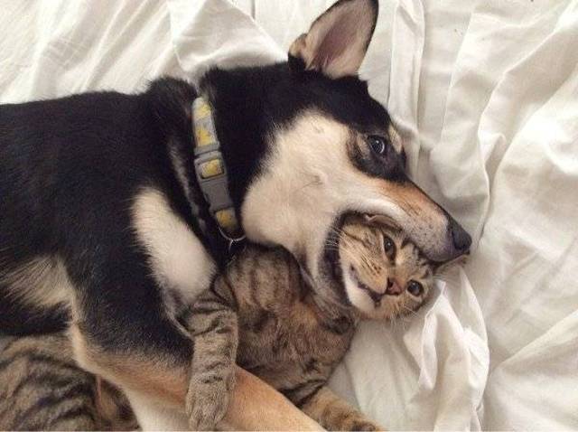 Morning Picdump