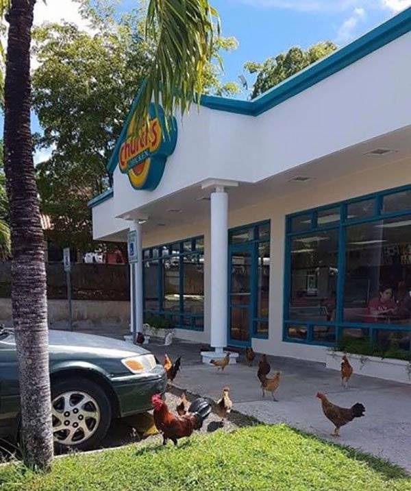 Morning Picdump