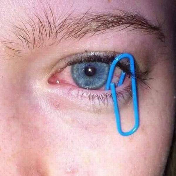 Daily Picdump