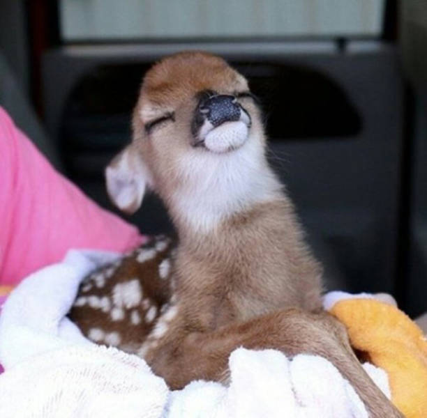 Morning Picdump