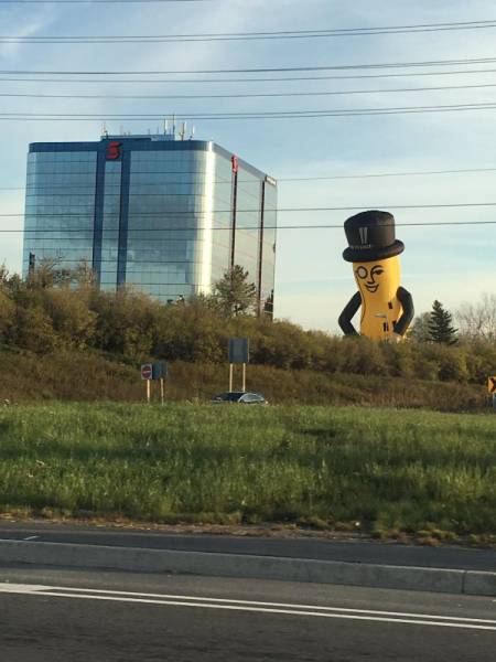Morning Picdump