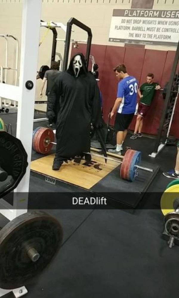 Morning Picdump