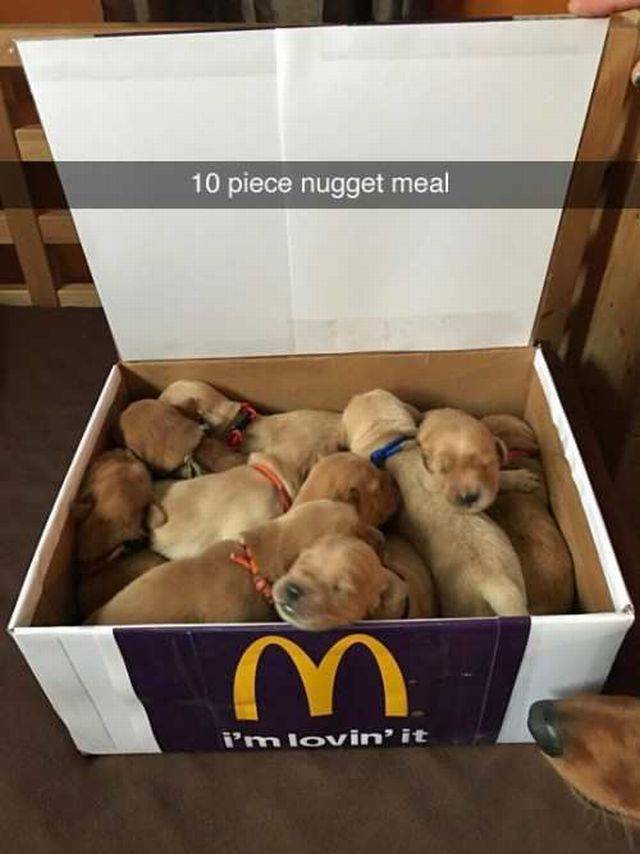 Daily Picdump