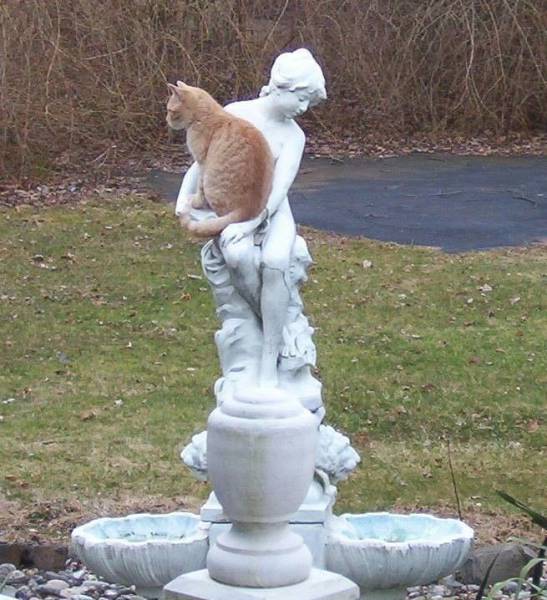 Daily Picdump